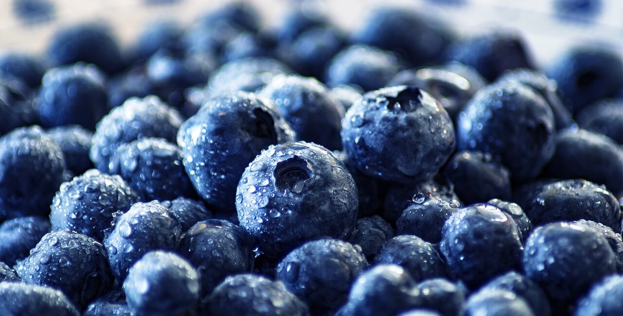 blueberries, fruit, healthy-3460423.jpg